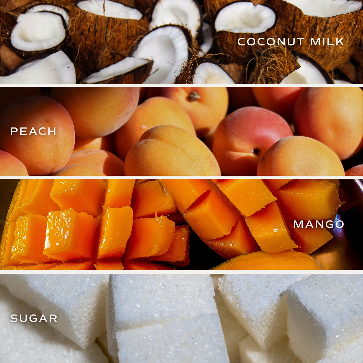 Mango and Coconut 9 oz Soy Candle - Home Decor & Gifts